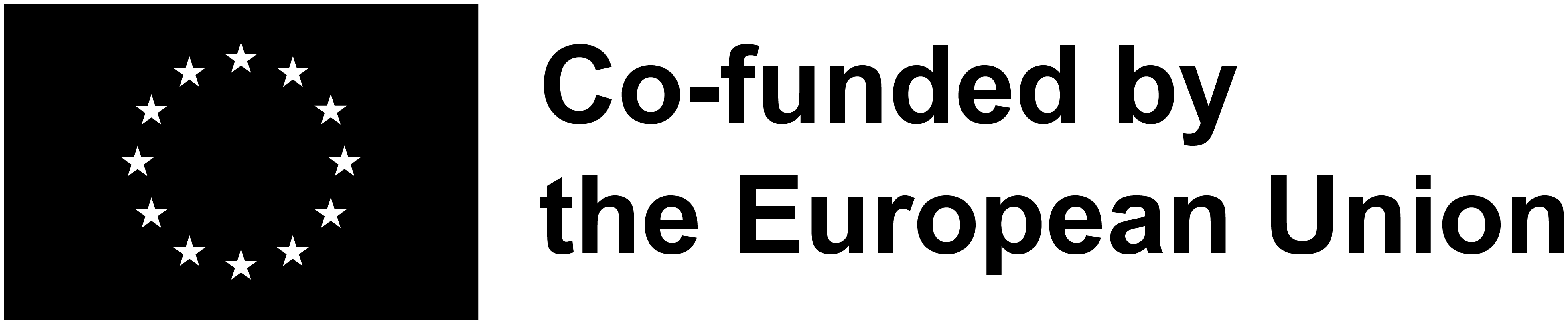 Co-funded by the European Union